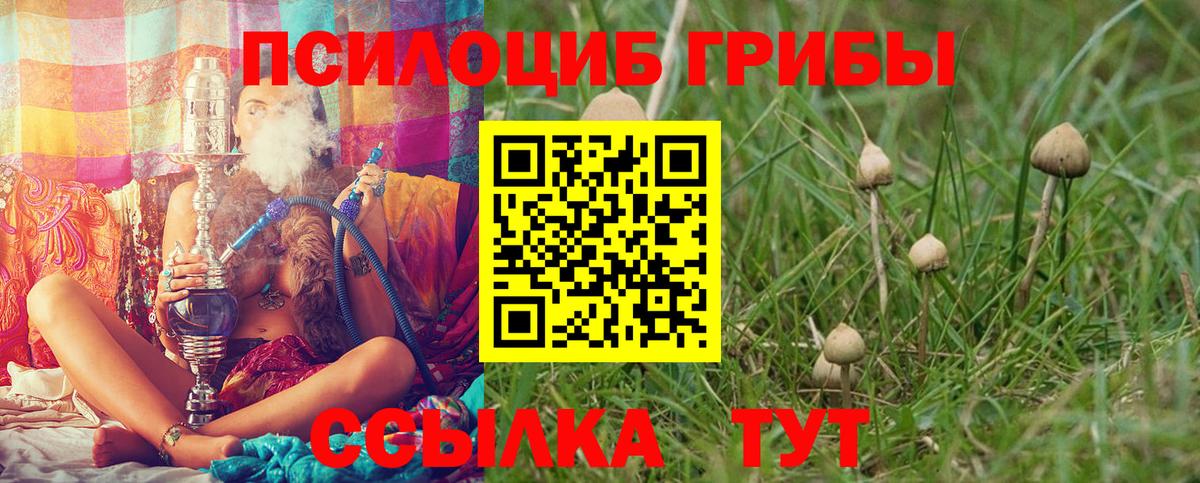 Галлюциногенные грибы MAGIC MUSHROOMS Вязники