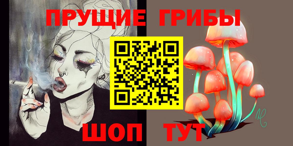 Галлюциногенные грибы Cubensis  Вход с VPN  Вязники 